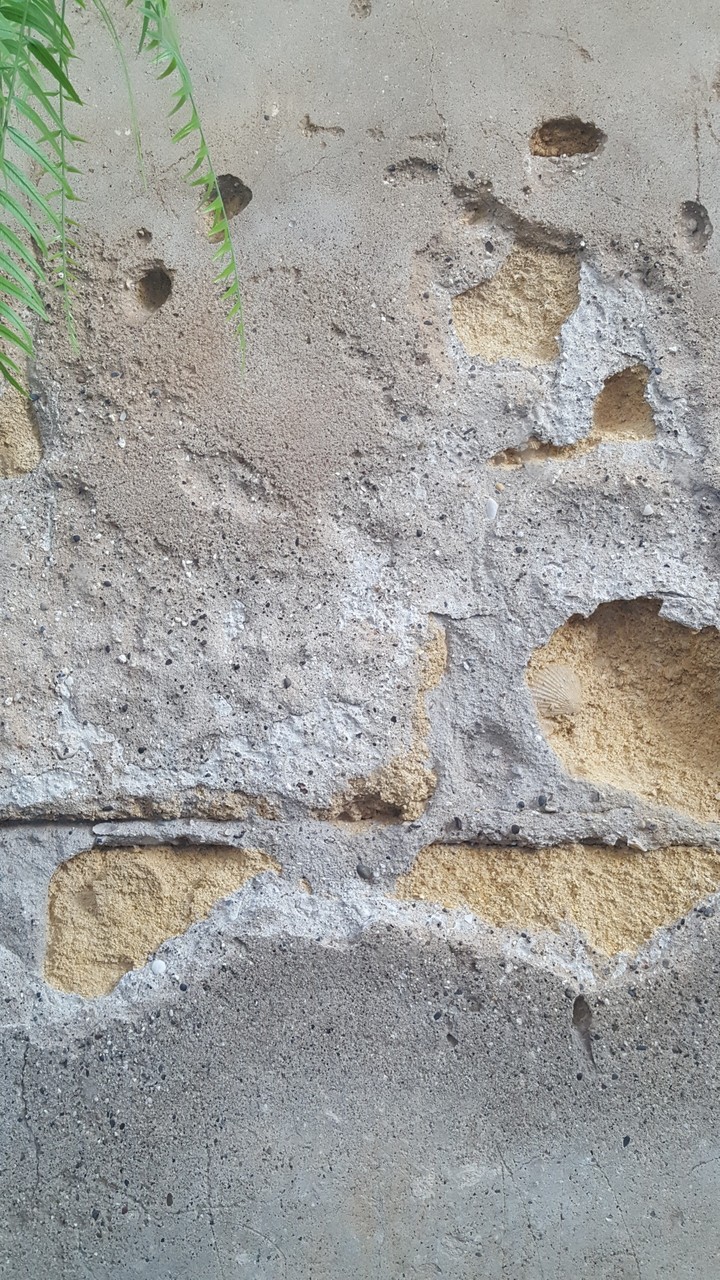 sea wall