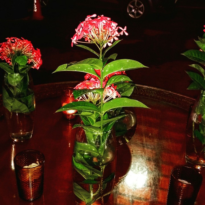 flower vase