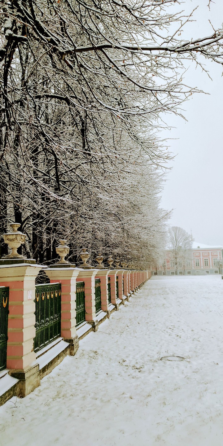 winter