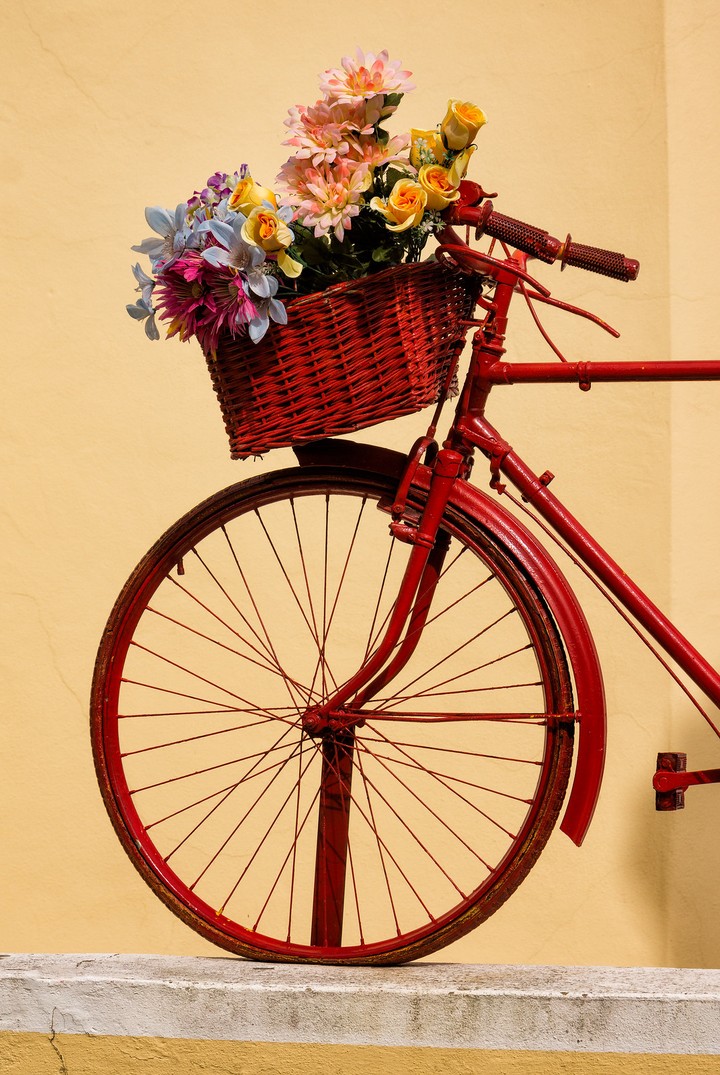 flowers & bike