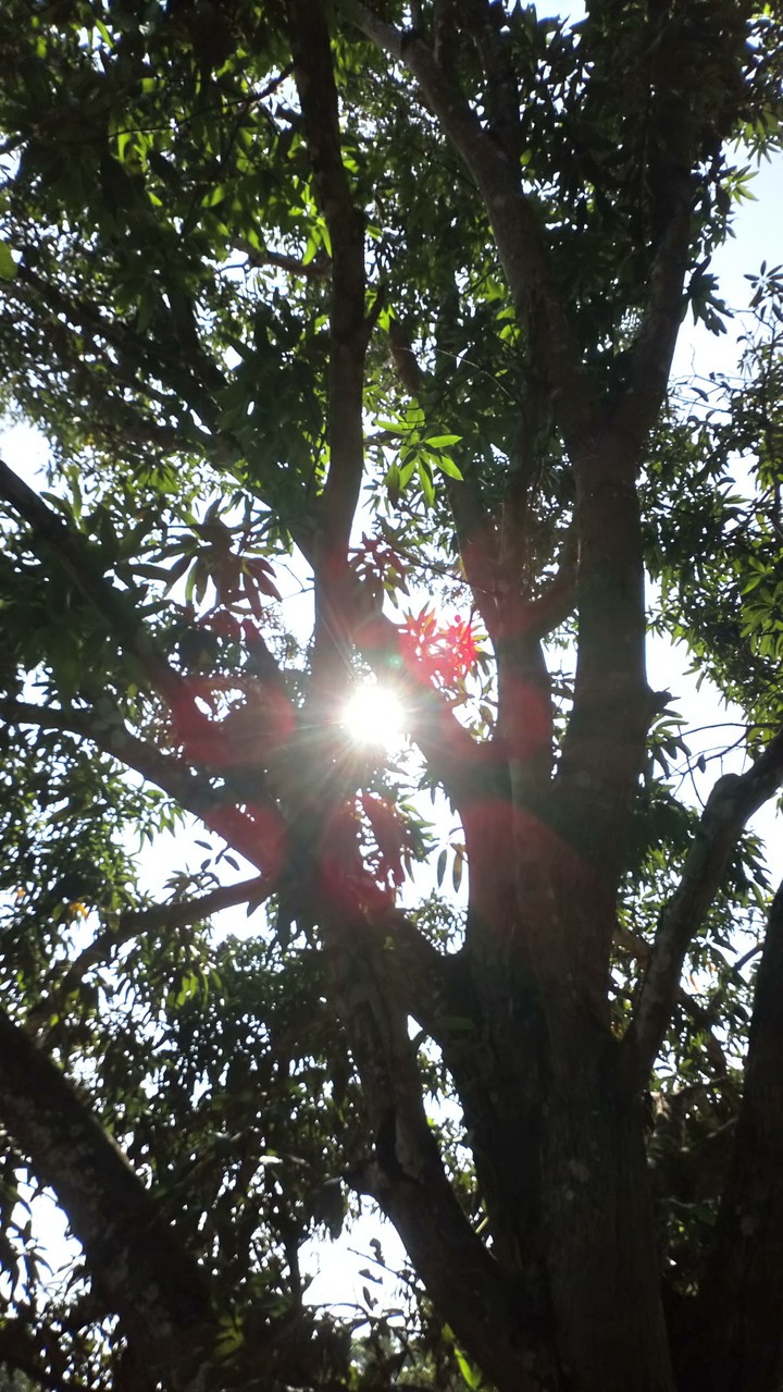 sol