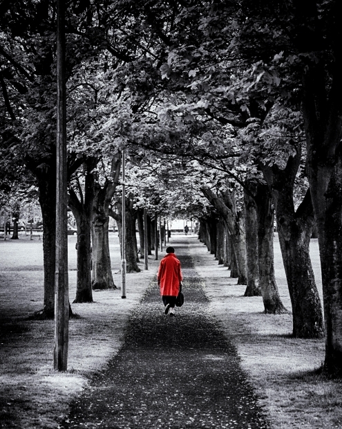 rojo y negro
