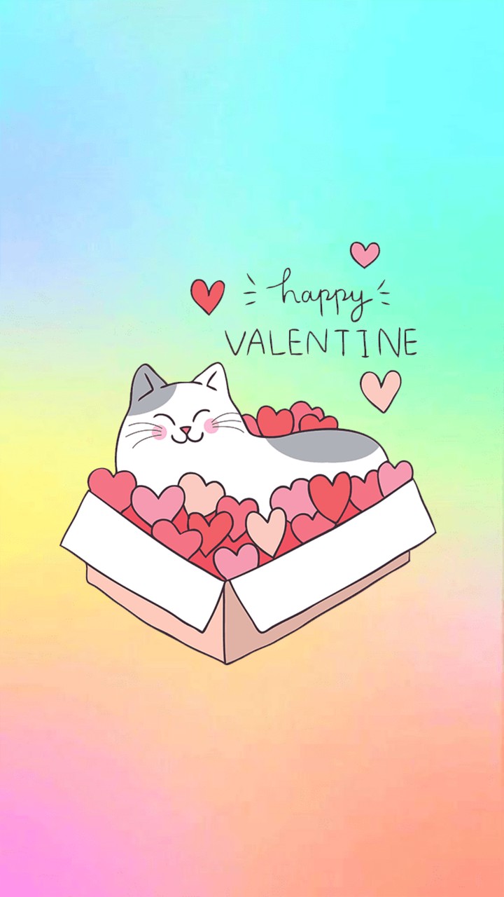 котик