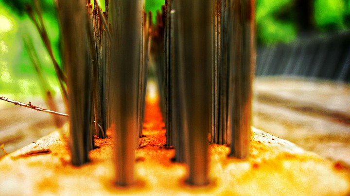metal brush 1