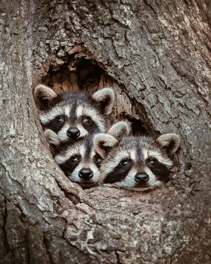 sweetly