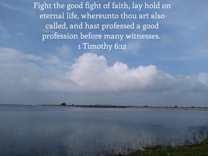 1 Timothy 6:12
