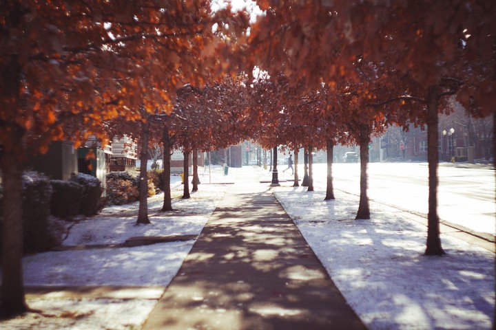 fall to winter