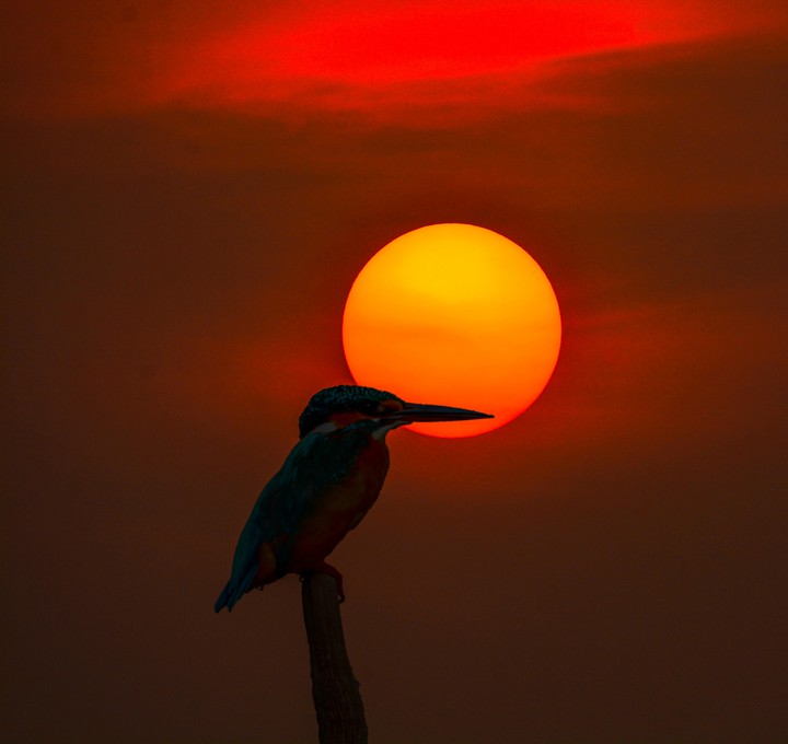 sun
