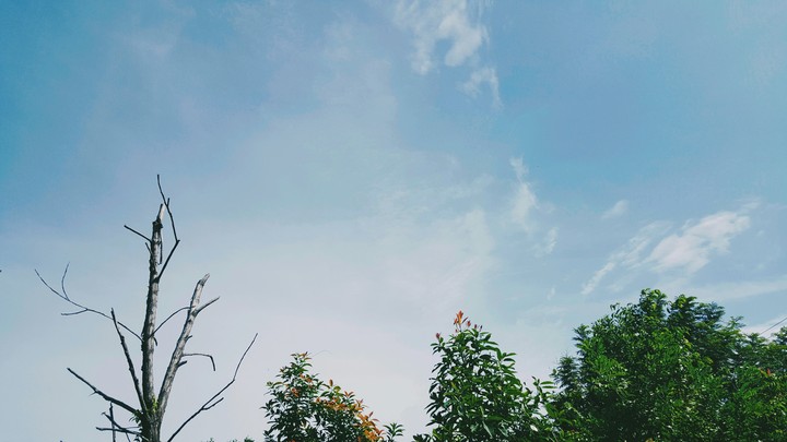 Sky