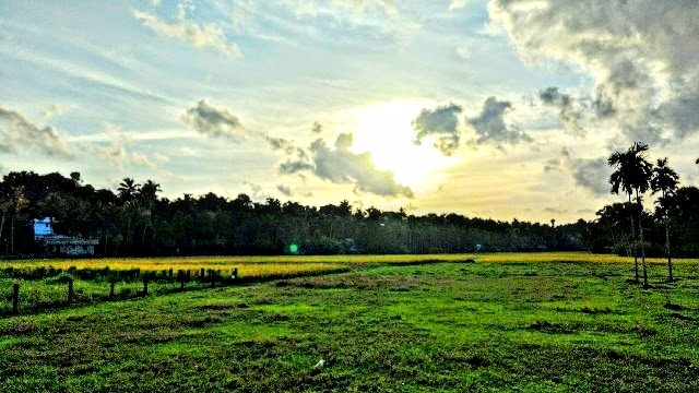 Just Shot.