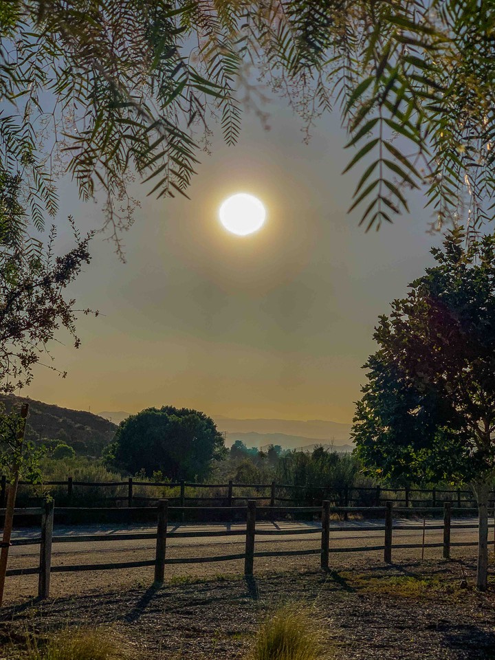 sunset