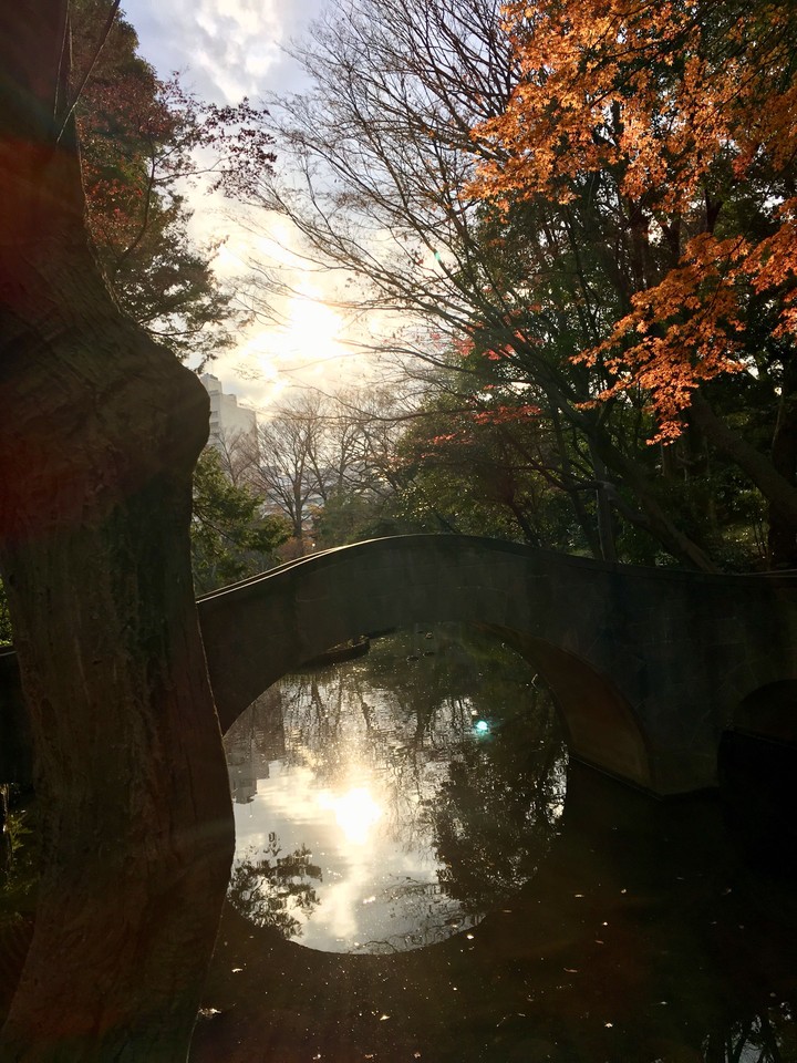 Autumn sunset