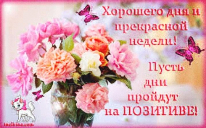 пор