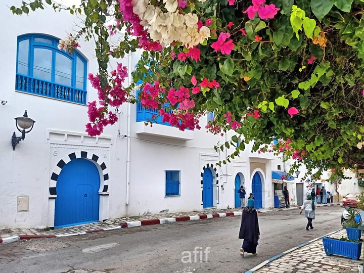 Tunis تونس