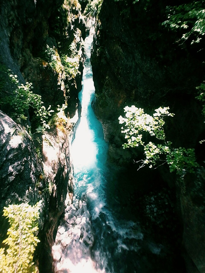 nature