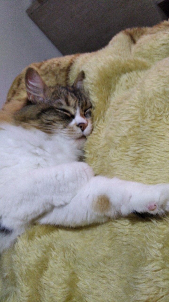 Dormir