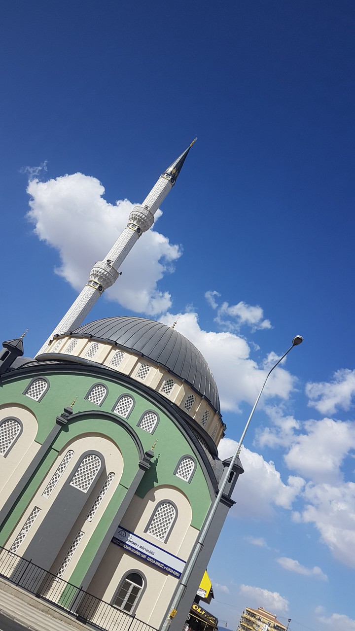 Camii