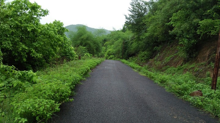 green road