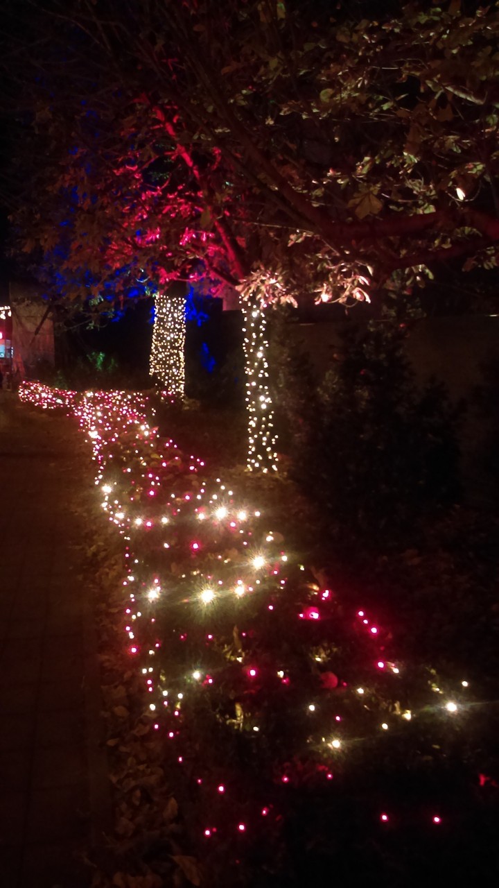 advent in Zagreb