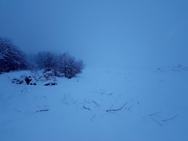 snow