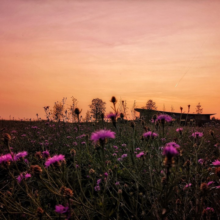 Abendrot