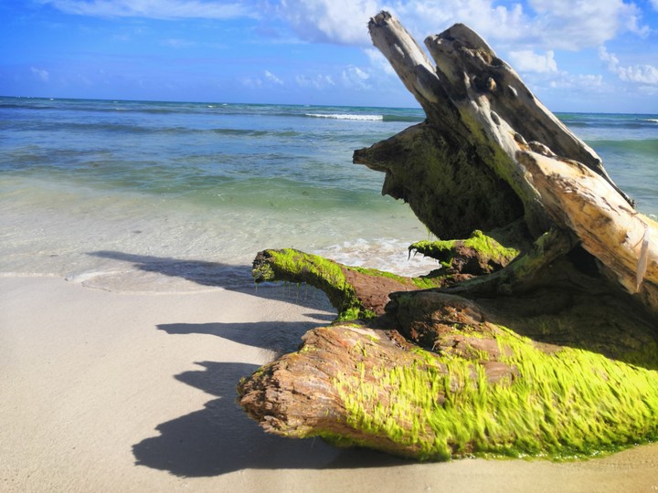 Playa de Carmen, Quintana Roo