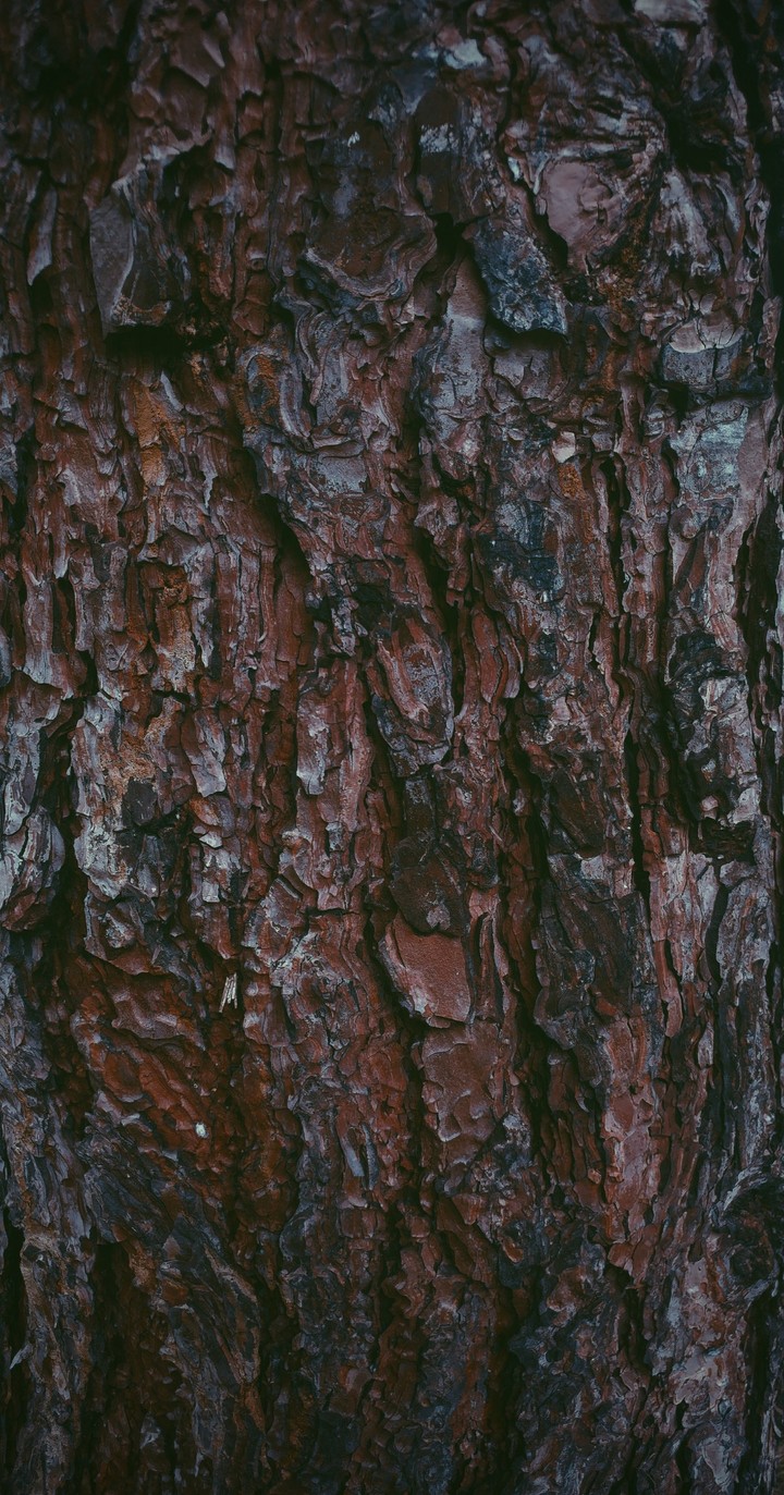 wallpaper