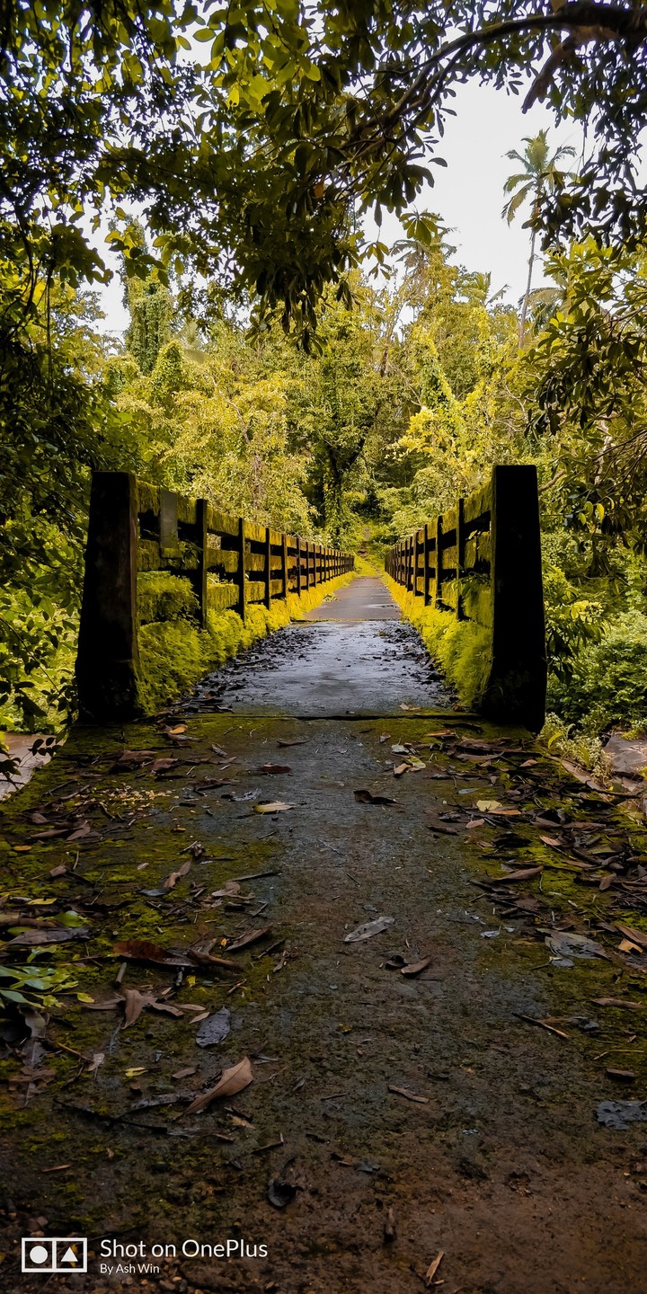 old bridge