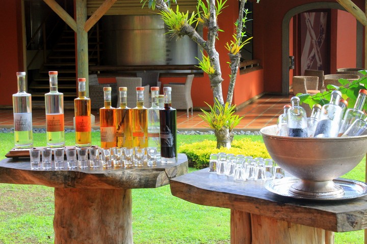 dégustation de rhum