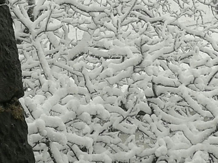 snow