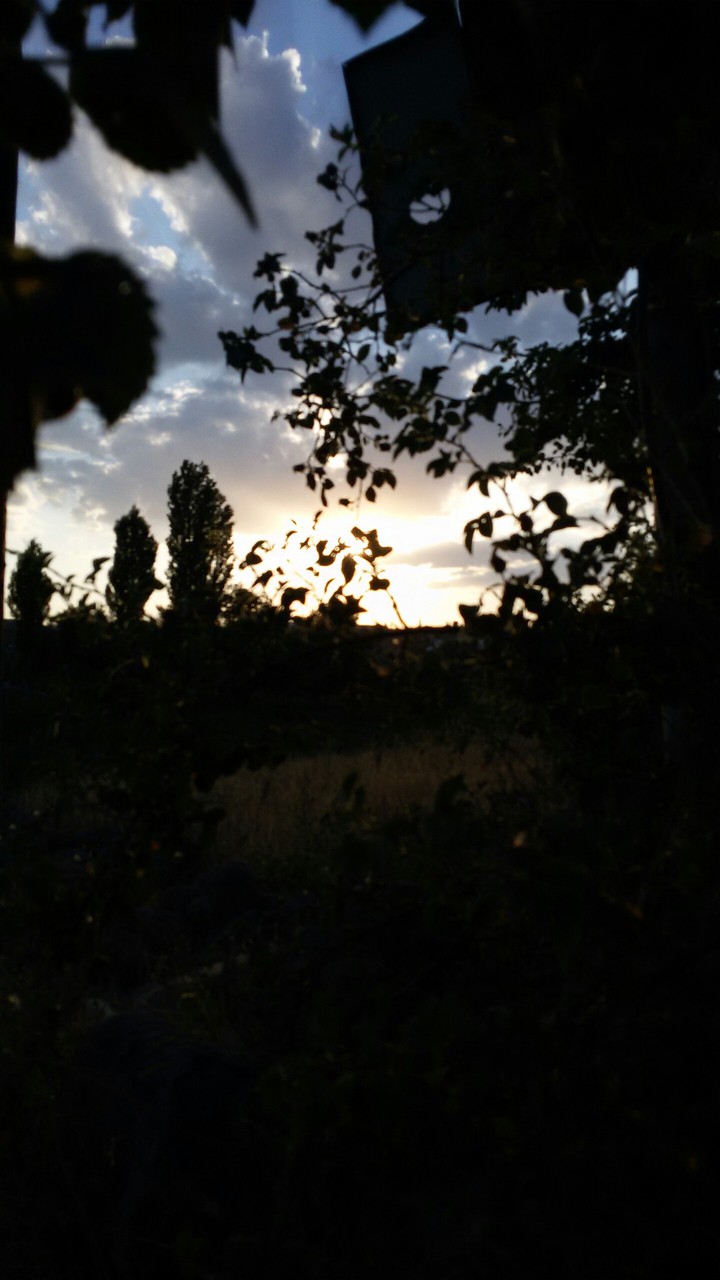 mutluluk