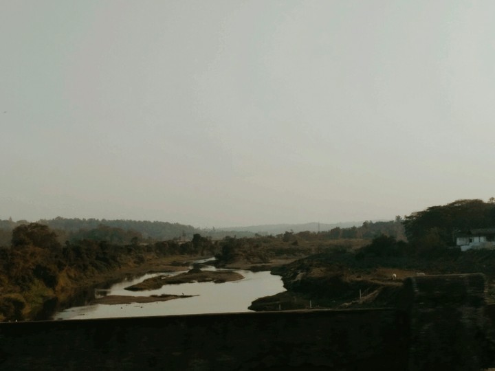 The Brook