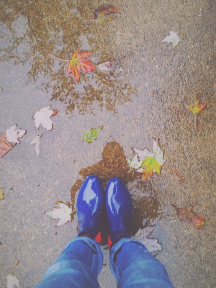 autumn rainfall