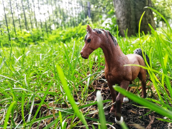Schleich Arabian stallion~Windfall