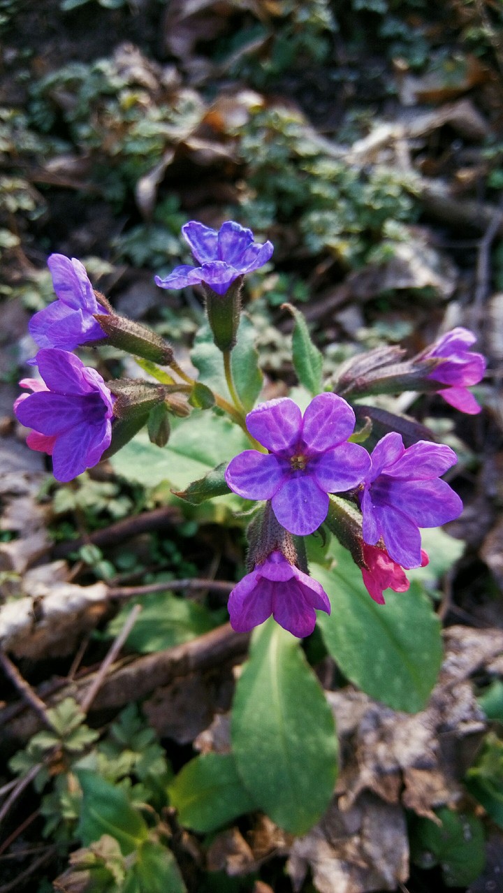 April