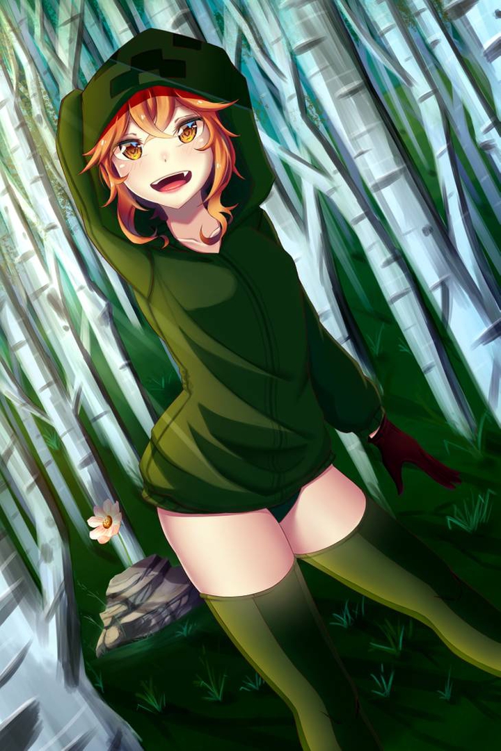 Anime Minecraft Crapper