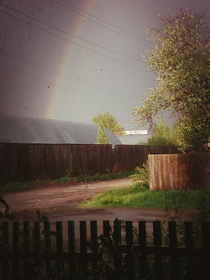 rain
