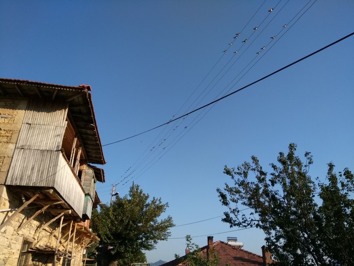 #fresh #doğal #nostalji