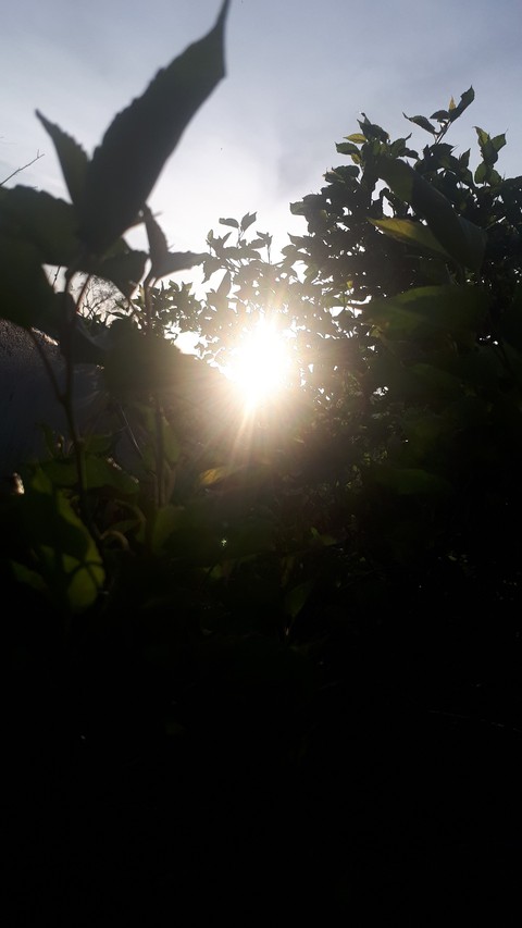 early morning