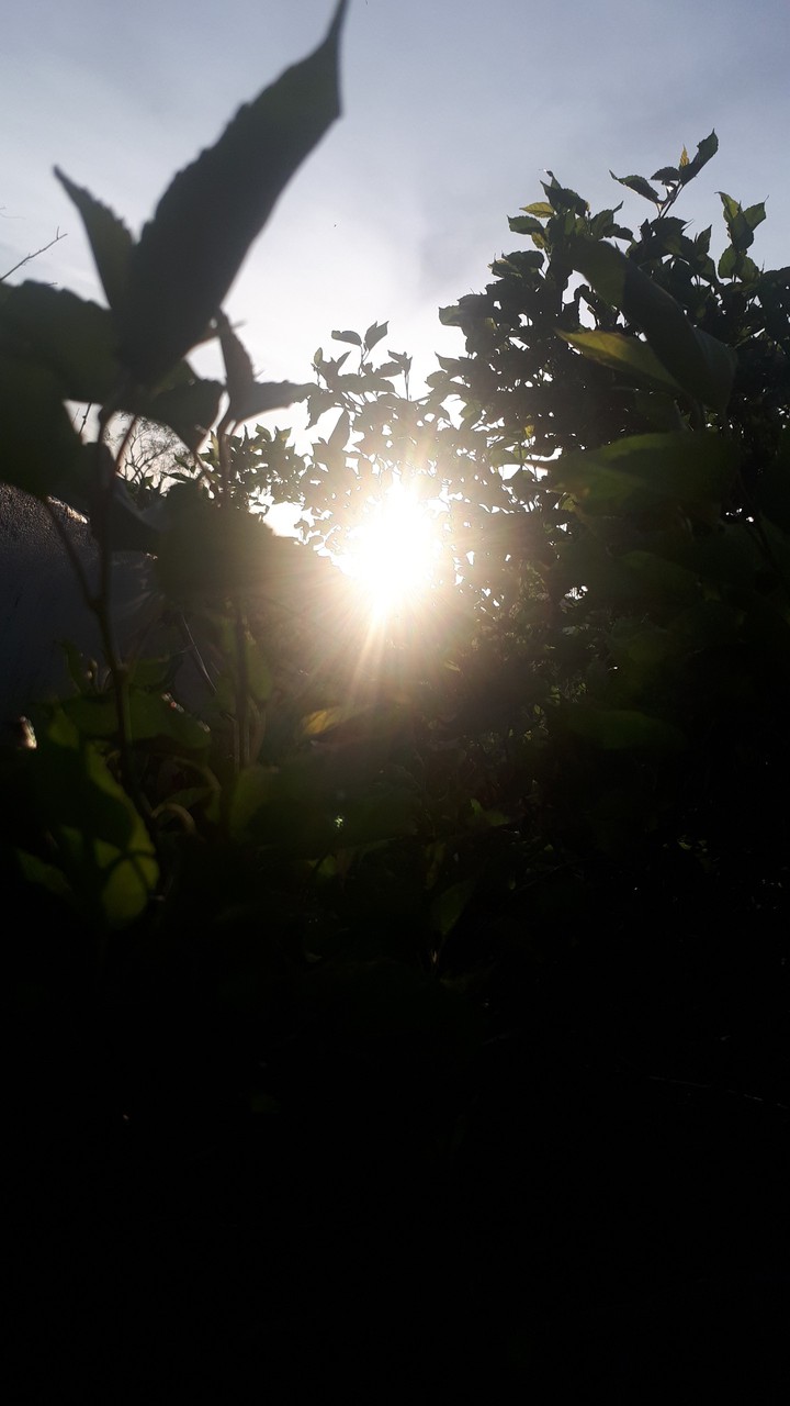 early morning