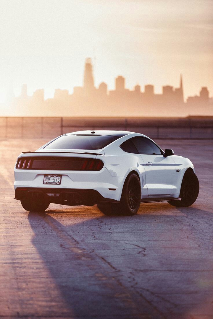 Mustang