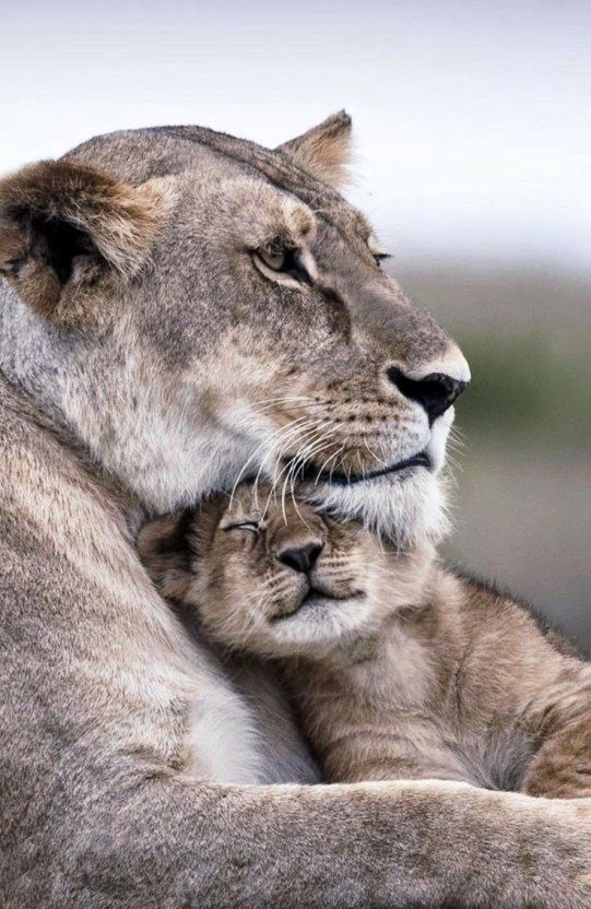 ♥