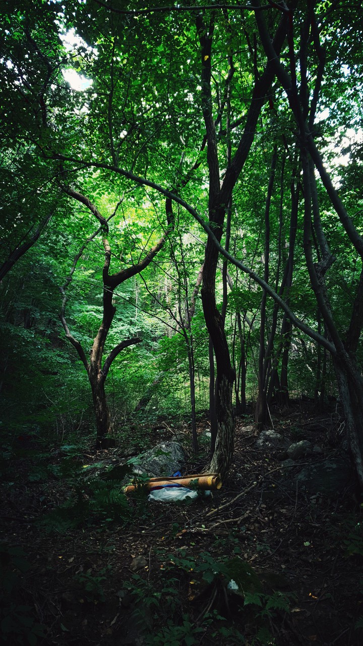 풍경