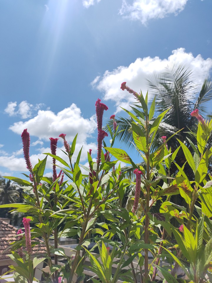 A sunny day