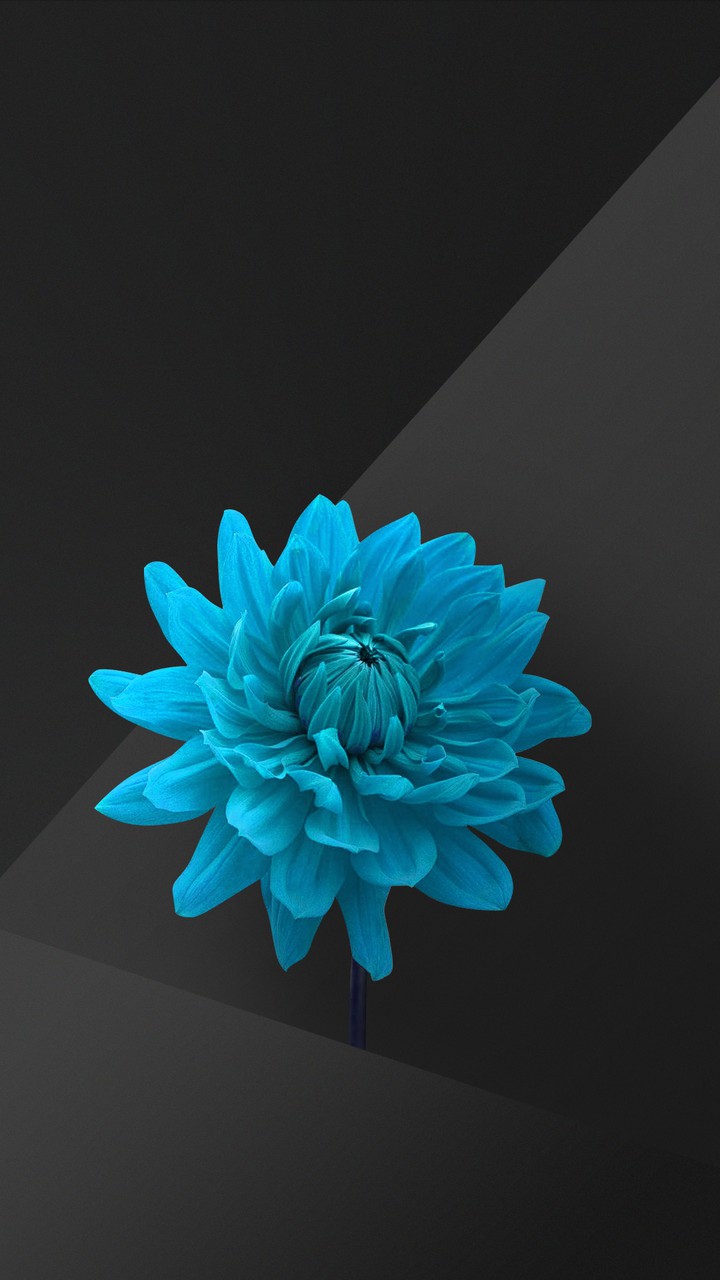 android flower