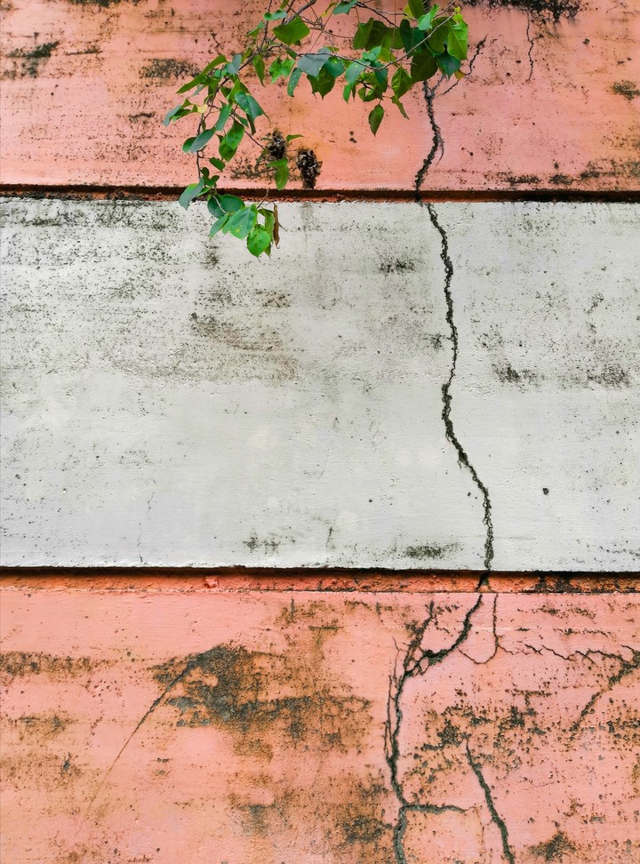 wall