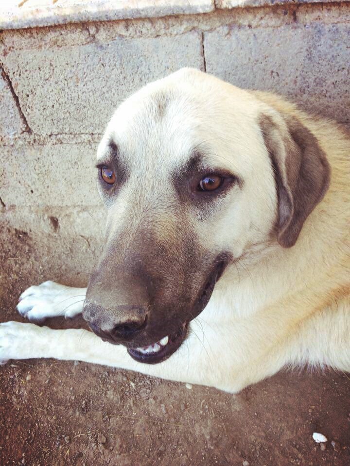 my friend