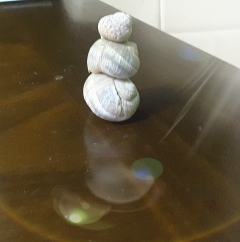 tapety cuisine, Table