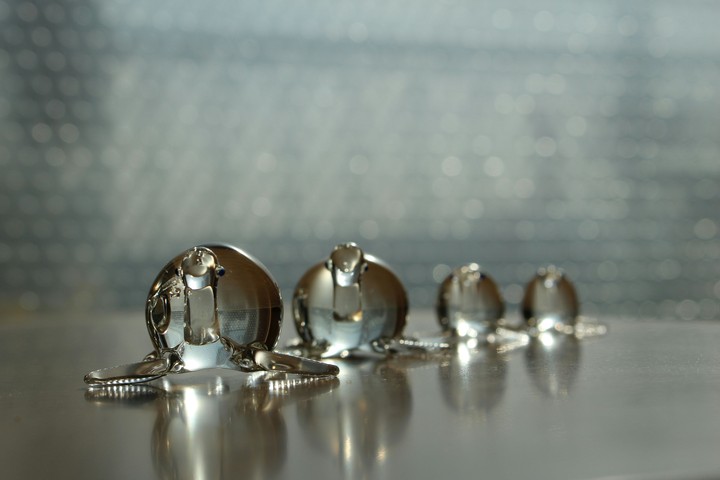 Crystal turtles
