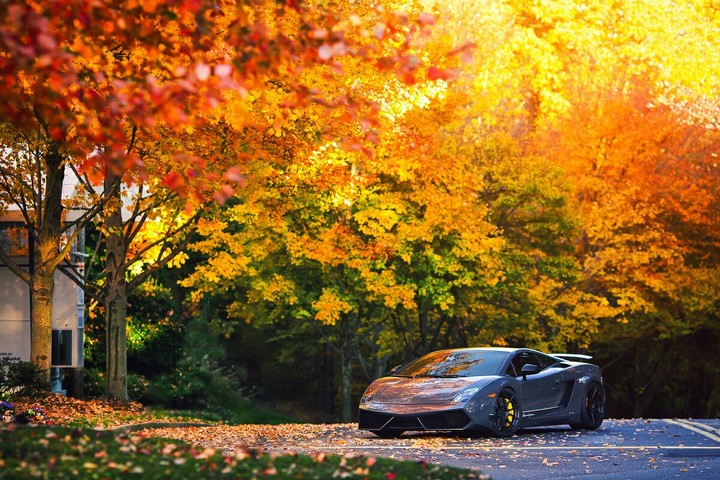 Lamborghini